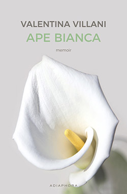 Ape Bianca - cover homepage